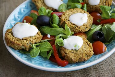 Falafel-Salat mit hausgemachten gebackenen Falafel - HAWF000106