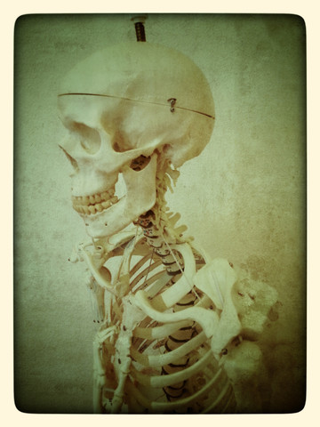 Skelett, Atelier, lizenzfreies Stockfoto