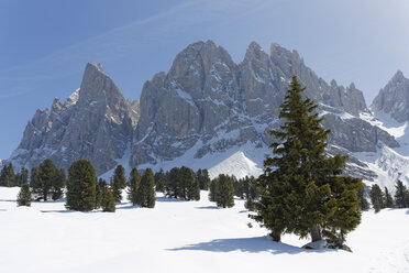 Italien, Südtirol, Villnösser Tal, Geisler Alm unterhalb von Sass Rigais - GFF000441