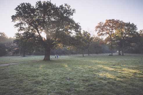 Deutschland, Hamburg, Jenischpark im Herbst - MSF003766