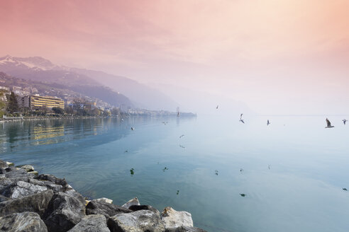 Switzerland, Waadt, Montreux, Lake Geneva in the evening - MSF003770