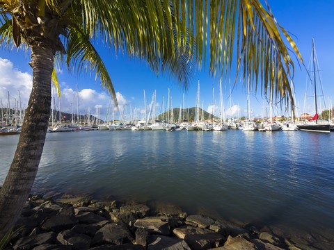 Karibik, Kleine Antillen, St. Lucia, Rodney Bay, Yachthafen und Segelyachten, lizenzfreies Stockfoto