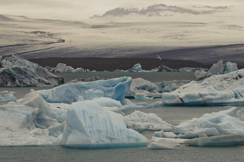 Island, Skaftafell-Nationalpark, Gletschersee Jokulsarlon - STC000010