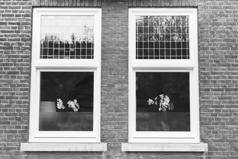 Niederlande, Maastricht, Fenster mit Orchideen, lizenzfreies Stockfoto