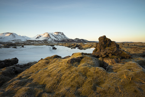 Island, Von Moos überwuchertes Lavafeld bei Dyrholaey, lizenzfreies Stockfoto