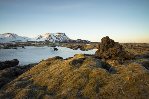 Iceland, Field of lava overgrown by moss near Dyrholaey - STCF000055