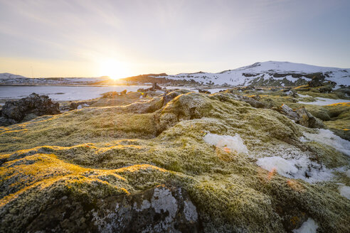 Iceland, Field of lava overgrown by moss near Dyrholaey - STCF000056