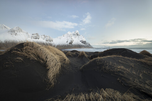 Island, Schwarzer Sandstrand von Stokksnes - STCF000027