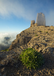 Spain, Canary Islands, Gran Canaria, Roque Nublo - STCF000038