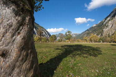 Austria, Tyrol, Alpine Park Karwendel, Great maple floor - RJF000094