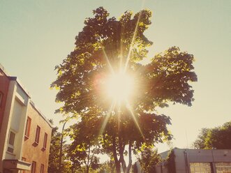 Deutschland, Bayern, Ottobrunn, Sonne, die durch eine Baumkrone scheint - BRF000231