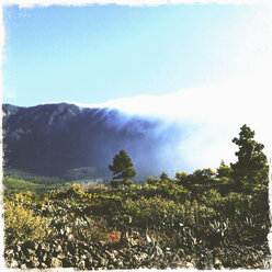 Wolken treiben über den Berg, Nationalpark, La Palma, Kanarische Inseln, La Palma, Spanien - SEF000678