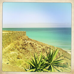 Blick auf den Atlantischen Ozean, Fuerteventura, Spanien - DRF000649