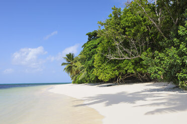 Seychellen, Praslin, Blick auf den Sandstrand mit Palmen - RUEF001241