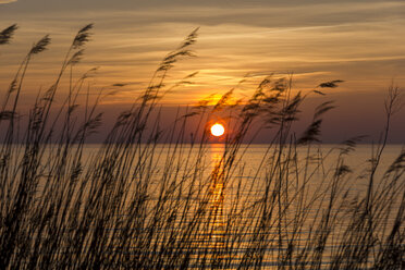 Deutschland, Niedersachsen, Wremen, Nordsee, bei Sonnenuntergang - SJF000106