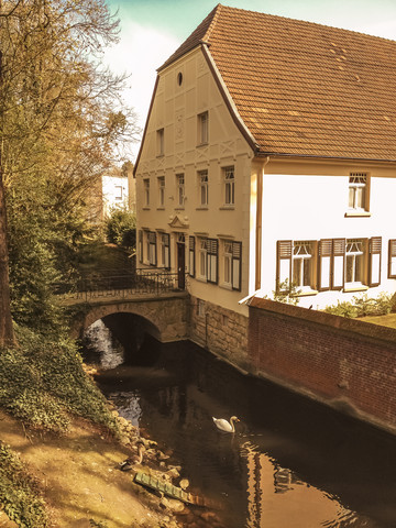 Germany, Recklinghausen, old house with water ditch and bridge, swan (Cygnini) stock photo