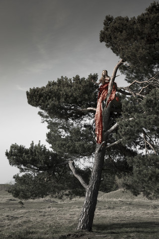 Deutschland, Bayern, Fröttmaninger Heide, junge Frau im Taftkleid auf Baum sitzend, lizenzfreies Stockfoto