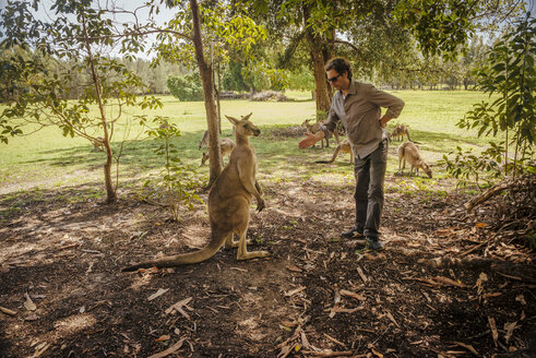 Australien, New South Wales, Mann bereitet sich auf einen Handschlag mit einem Känguru vor - FBF000367