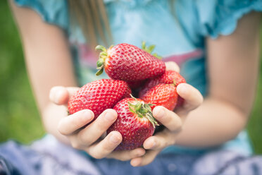 Kleines Mädchen hält eine Handvoll Erdbeeren, Teilansicht - SARF000523