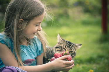 Porträt eines kleinen Mädchens, das seiner Katze eine Handvoll Erdbeeren zeigt - SARF000520