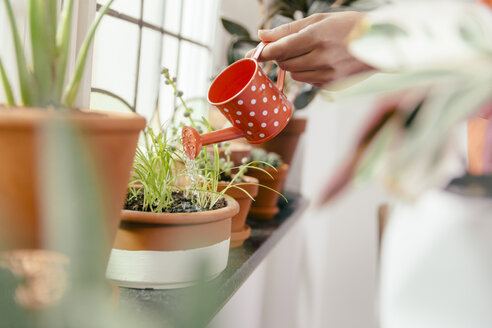 Weibliche Hand gießt Pflanze auf der Fensterbank mit einer kleinen Gießkanne - MFF001051