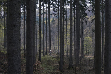 Germany, Lower Saxony, Deister, Bike Freeride in forest - MUMF000052