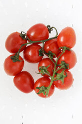 Fresh bunch tomatoes - EVGF000522