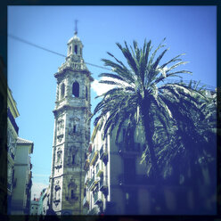 Santa Catalina Kirchturm, Palmen, blauer Himmel, Spanien, Valencia - DISF000789