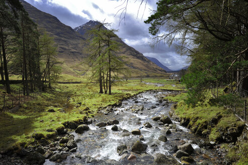 UK, Schottland, Glen Coe Hochland - FDF000048