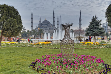 Turkey, Istanbul, Park and Blue Mosque - SIEF005290