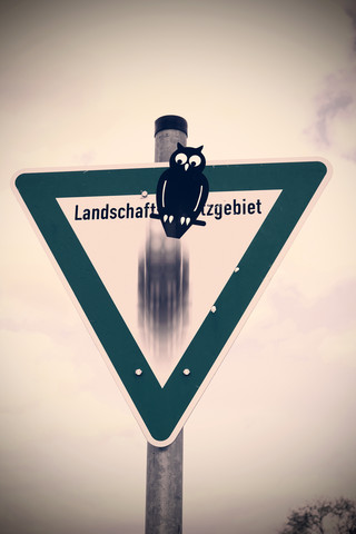 Schild mit fliegender Eule, Komposit, lizenzfreies Stockfoto