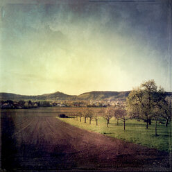 Deutschland, Baden-Württemberg, Tübingen, blühende Apfelbäume, Blick auf die Wuermlinger Kapelle - LVF001120