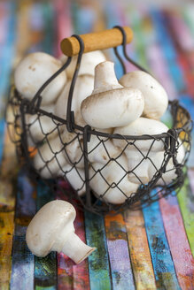 Wire basket of white champignons on coloured stripes - SARF000533