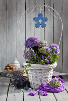 Hortensia, Hydrangea, Bellflower, Campanula, in white flower basket, purple silk cloth and lavender - CSF021270