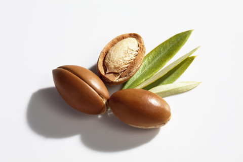 Argan-Nüsse und Blätter vom Arganbaum, Argania spinosa, lizenzfreies Stockfoto