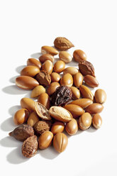 Argan nuts and leaves from Argan tree, Argania spinosa - CSF021291