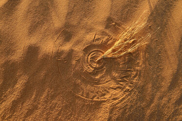 Algerien, Tassili n Ajjer, Sahara, kreisförmige Textur von bewegtem Gras auf einer Wüstendüne - ESF001004