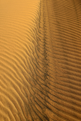 Algerien, Tassili n Ajjer, Sahara, Sandkräuselungen auf einer Wüstendüne, lizenzfreies Stockfoto