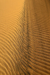 Algerien, Tassili n Ajjer, Sahara, Sandkräuselungen auf einer Wüstendüne - ESF001010