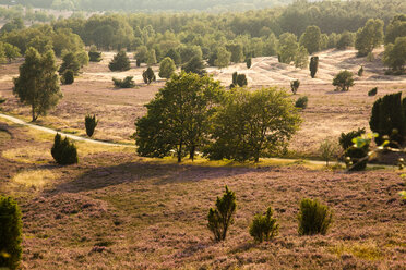 Deutschland, Niedersachsen, Lüneburger Heide - FCF000066