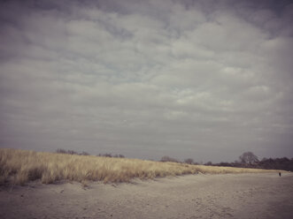 Ruegen, Baltic Sea, Mecklenburg-Vorpommern, Island, winter, Beach, sea, beach grass - MJF001077