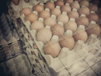 Eggs, egg packaging, egg - MJF001000