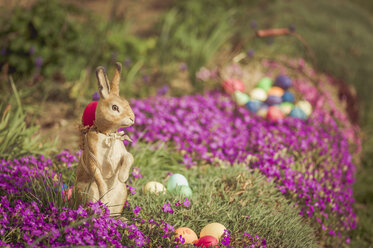 Osterhase im Garten mit Blumen - MJF000968