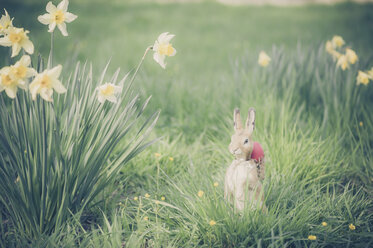 Osterhase im Garten - MJF000973