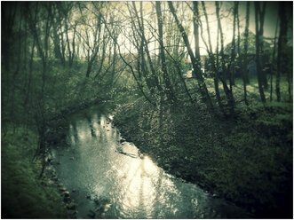 Urban forest in spring, Germany, North Rhine-Westphalia, Minden - HOHF000740