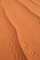 Algeria, Tassili n Ajjer, Sahara, fresh track of a dromedary on a desert dune - ESF001026