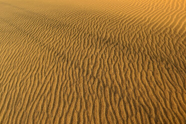 Algerien, Tassili n Ajjer, Sahara, Sandkräuselungen auf einer Wüstendüne - ESF001020