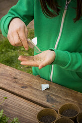 Little girl taking bell pepper seeds out of bag, partial view - LVF001133