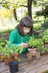 Little girl repotting parsley on wooden table in the garden - LVF001141