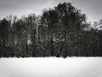 Germany, Bavaria, Forest, Cyclist in winter - FCF000095